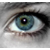 :iconbelhutton: