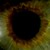 :iconbeliarl: