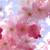 :iconbelievingoctober: