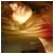 :iconbelinharock: