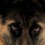 :iconbelithe: