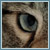 Bella-Blue :iconbella-blue: