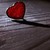 :iconbella-unamor: