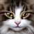 :iconbella4321: