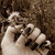 :iconbellaambrosia: