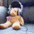 :iconbellaflor03: