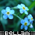 :iconBellami: