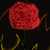 :iconbellapirate: