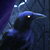 :iconbellatulpa: