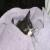 :iconbelldandyshanny: