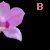 :iconbelle-ankh-mydear: