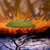 :iconbelle95: