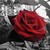 :iconbelleagost: