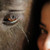 :iconbellesaria: