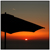 :iconbellnep: