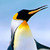 :iconbellybloat75: