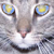 :iconbelovedmonster: