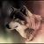 :iconbelowinfinity: