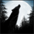 :iconbelue-night: