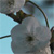 :iconbemyheroine: