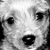 :iconben-2506: