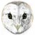 :iconbendennett: