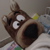 :iconBenedict126: