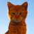 :iconbenevolent-cat: