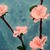 :iconbengaltigers96: