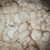:iconbenignbeauty: