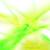 :iconbenjimc: