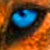 :iconbenjiwuff: