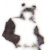 :iconbenjoi: