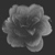 :iconbenjtodd: