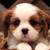:iconbenlover4321: