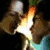 :iconbennett2012: