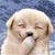 :iconbennix: