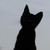 :iconbennsprofile: