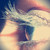 :iconbennuanneshka: