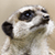 :iconbenpollack: