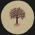 :iconBentheu: