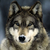:iconbenwalks: