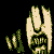 :iconbeoulve: