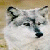 :iconbeowolfe: