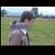 :iconbeowulf04: