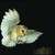 :iconbeowulf728: