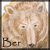:iconber-orson: