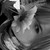 :iconberithase: