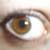 :iconberlinergoere: