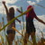 :iconberry-and-sarah: